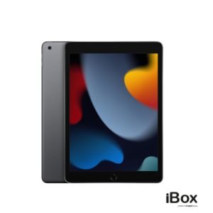 Apple iPad (Gen 9)